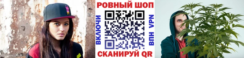 LSD-25 Пошехонье