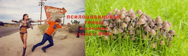 прущая мука Алексин